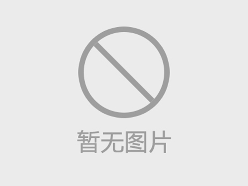 双小车桥式起重机：高能效协同的工业“大力士”